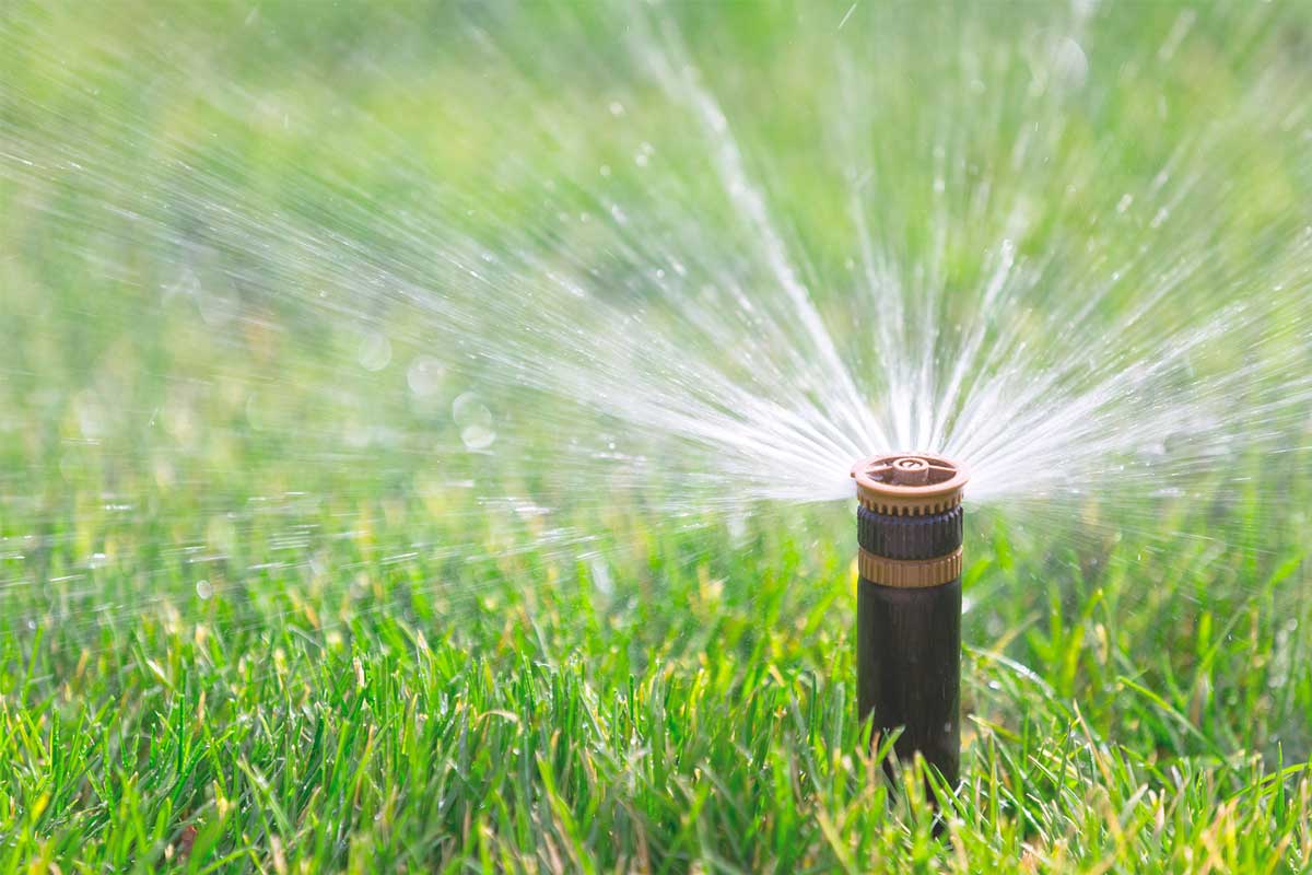 Wet Spot Irrigation Irrigation & Reticulation Systems Currumbin