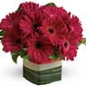 Kenney's Flowers - Pic 4