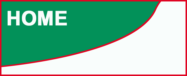 A1 Electric Motors Pty Ltd - Promotion 3