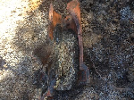Work Site