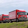 Pickering Transport Group - Pic 6