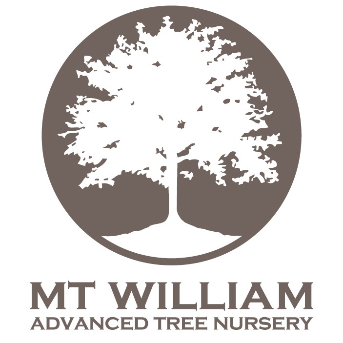Mt William Advanced Tree Nursery Garden Nurseries 539 West Goldie Rd