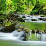 Hypnosisworks Hypnotherapy & Counselling - Pic 1