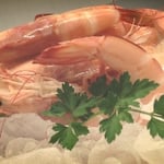Latitude Fisheries Pty Ltd - Pic 2