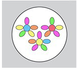 Speech Pathology Cradle Coast - logo