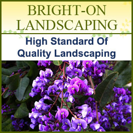 Bright-On Landscaping - Promotion