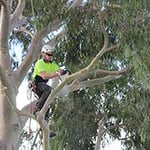 Envirotrim - Pic 5