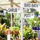 Allora Gardens Nursery - Pic 10