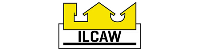 Box Gutter Guys - logo