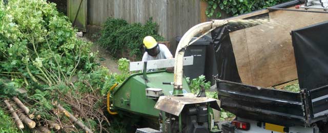 Brady Tree Service Pty Ltd - Promotion 3