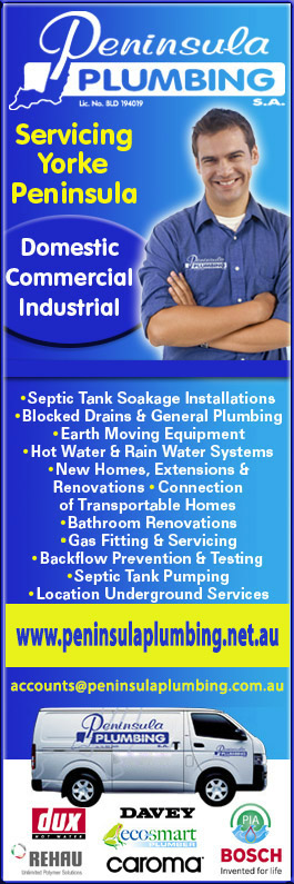 Peninsula Plumbing S.A. - Promotion
