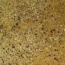 Creative Textured Coatings - Pic 10