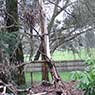 Biota Group - Pic 8