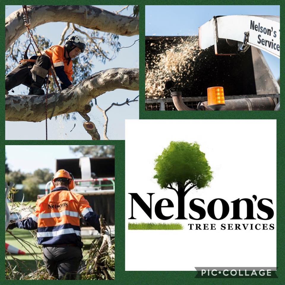 Nelson's Tree Services Tree & Stump Removal Services Stawell Yellow