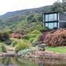 DP Landscaping & Design - Pic 4