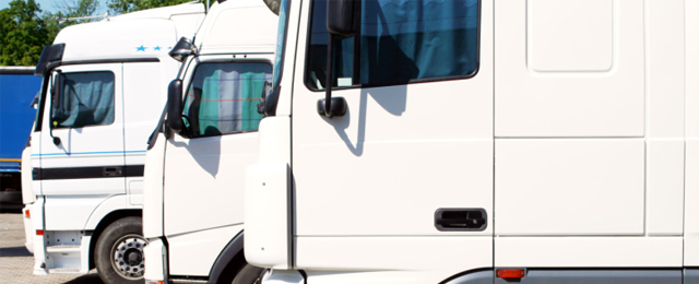 Elmer's Removals - Promotion 3