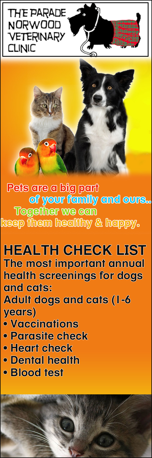 Parade Norwood Veterinary Clinic Vet 27 The Parade, Norwood SA 5067