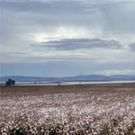 Agripath Pty Ltd - Pic 1