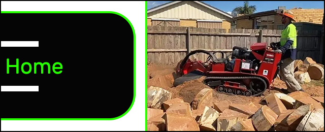 Rob's Tree Service - Promotion 2