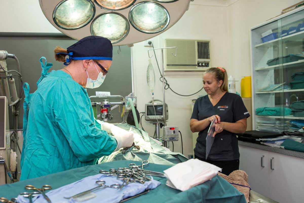 Albany Creek Veterinary Surgery Vet 739 Albany Creek Rd, Albany Creek QLD 4035 Yellow Pages®