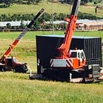 Marshall Cranes - Pic 5