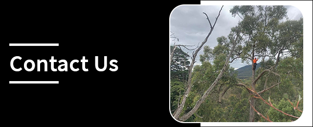 Harringtons Tree Services - Promotion 1