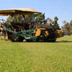 Sunraysia Evergreen Turf - Pic 7