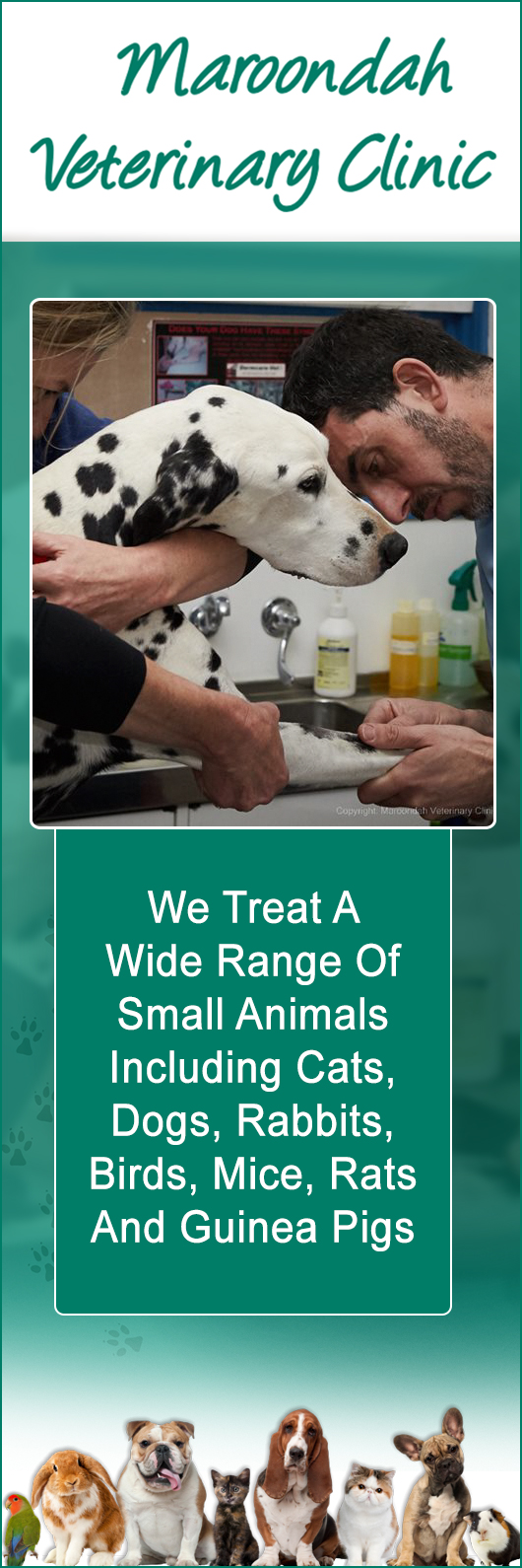 Maroondah Veterinary Clinic - Promotion