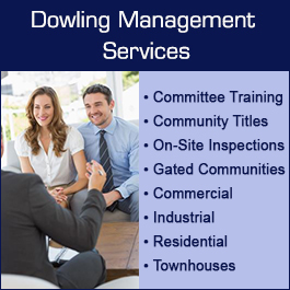 Dowling Management Services - Promotion