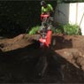 Redback Tree Services - Pic 5