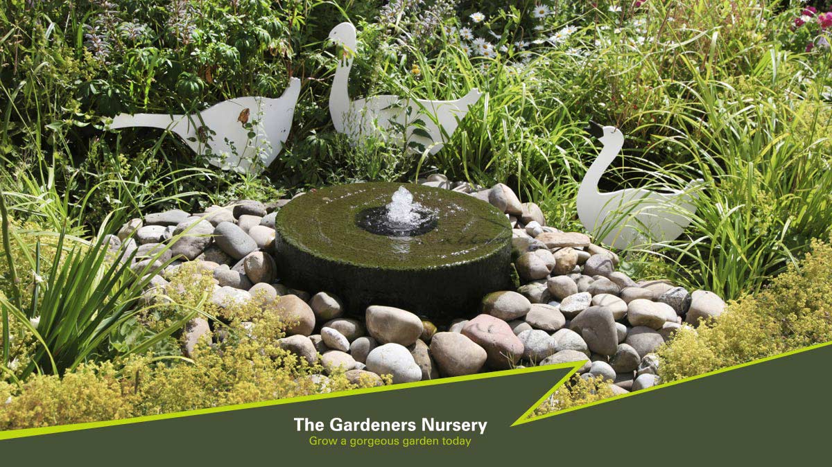 the gardeners nursery water features ponds garden ornaments