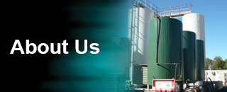 Wren Oil - Promotion 1