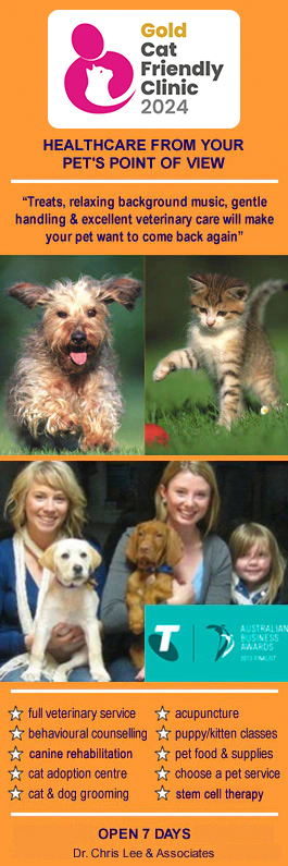 Pet Universe Veterinary Centre Broadview & Northgate - Promotion