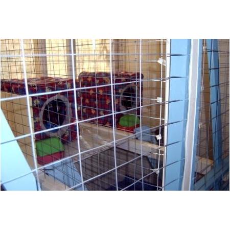 Diamond Dog Kennels Rowville Diamond Dog Kennels Rowville