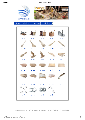 View PDF