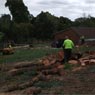 Redback Tree Services - Pic 7