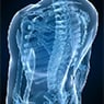 Chiropractic Spinal Health - Pic 1