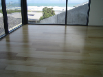 Paul Perry - Pic 2