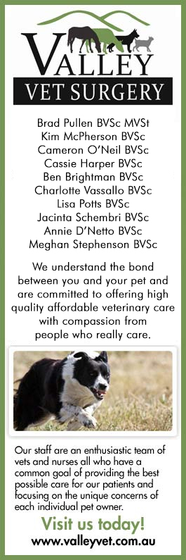 affordable dog vet