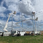 Curry Power Pty Ltd - Pic 10
