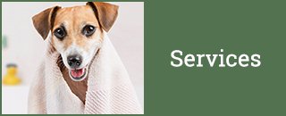 4 Paws B & B Boarding Kennel - Promotion 2