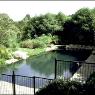 Michael Bligh & Associates - Pic 2