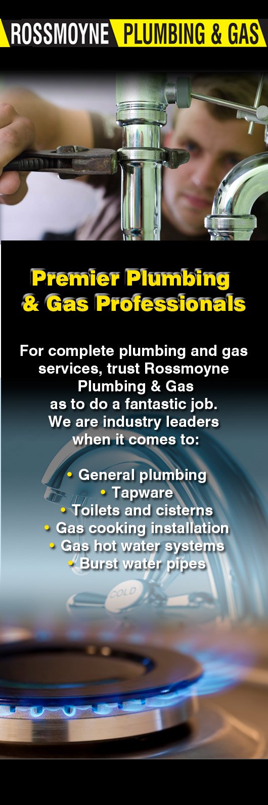 Rossmoyne Plumbing & Gas - Promotion