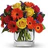 Kenney's Flowers - Pic 8