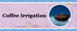 Sweet Cheeks Colon Irrigation - Promotion 2