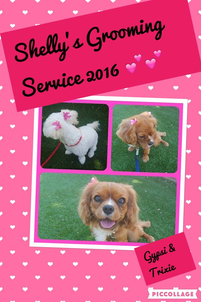 Shelly S Dog Training Shelly S Dog Training