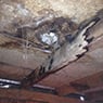 Kent Andersen Building & Inspection Services - Pic 6