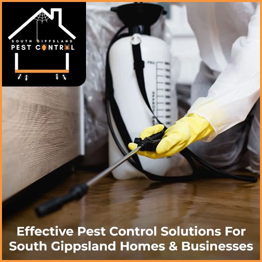 South Gippsland Pest Control - Promotion