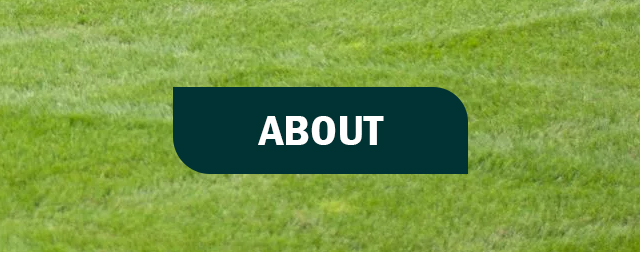 Aussie Turf & Soil - Promotion 2