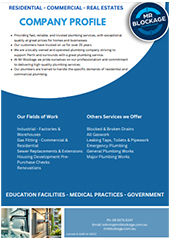 Mr Blockage Company Profile